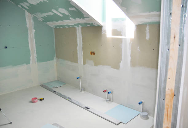 Best Mold Damage Restoration  in Van Wert, OH
