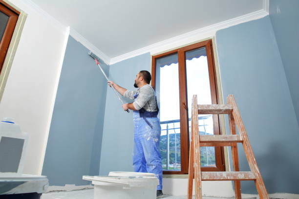 Mold Documentation for Insurance Claims in Van Wert, OH