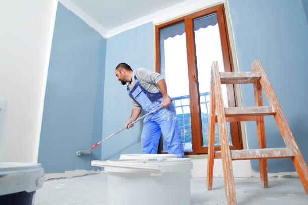 Best Basement Mold Removal  in Van Wert, OH