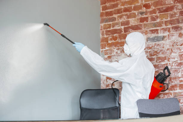 Best Emergency Mold Remediation  in Van Wert, OH