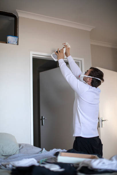  Van Wert, OH Mold Removal Pros
