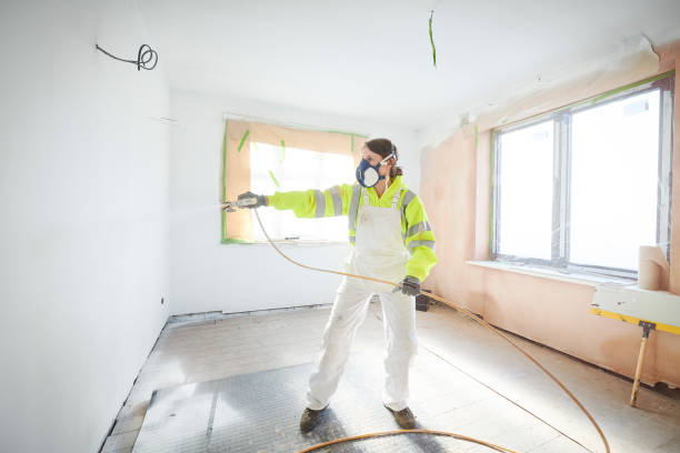 Best Mold Odor Removal Services  in Van Wert, OH