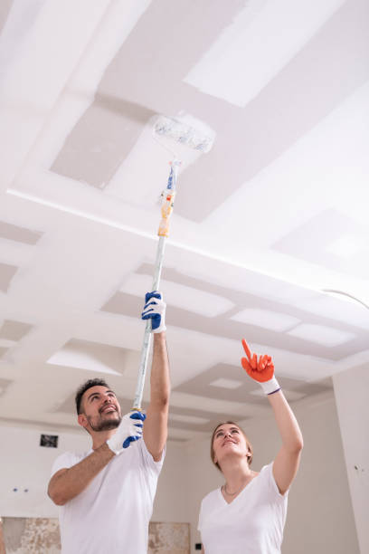 Best Residential Mold Inspection & Testing  in Van Wert, OH