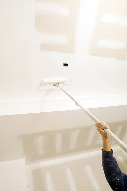 Best Black Mold Removal  in Van Wert, OH