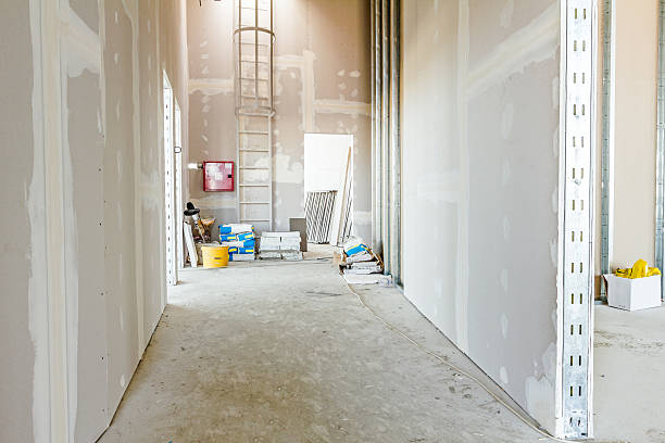 Best Air Quality Testing for Mold Spores  in Van Wert, OH