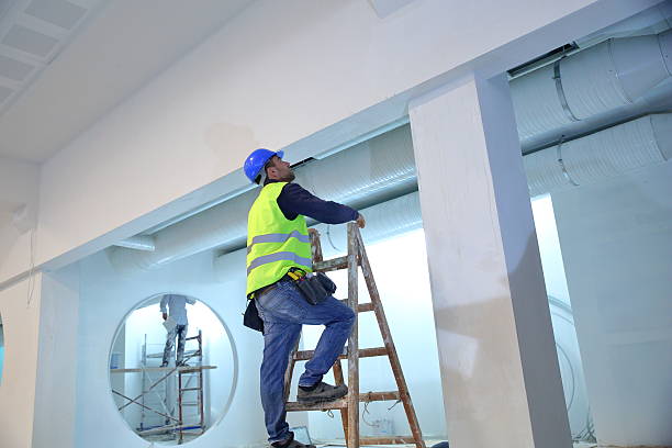 Best Commercial Mold Inspection  in Van Wert, OH