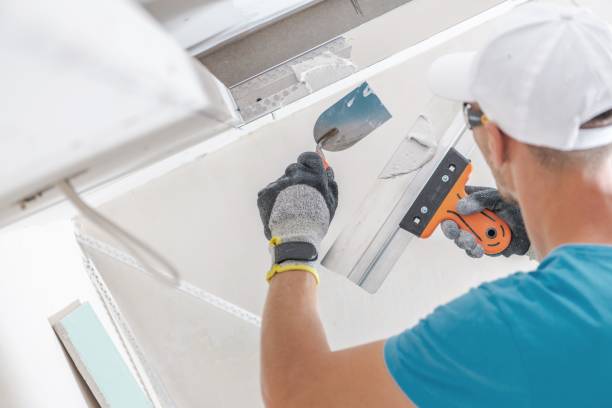 Best Asbestos and Lead Testing During Mold Inspection  in Van Wert, OH